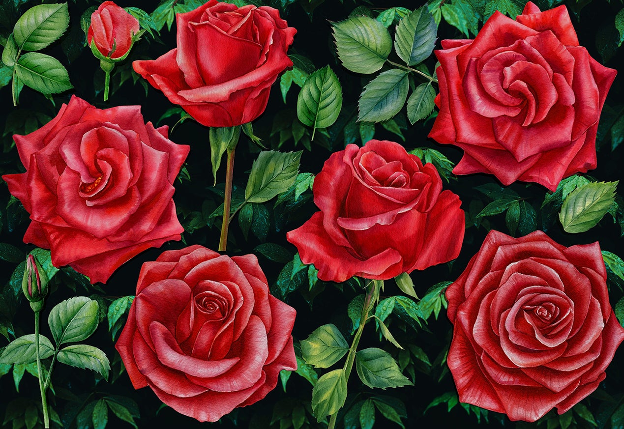Acrylic Medium Tray