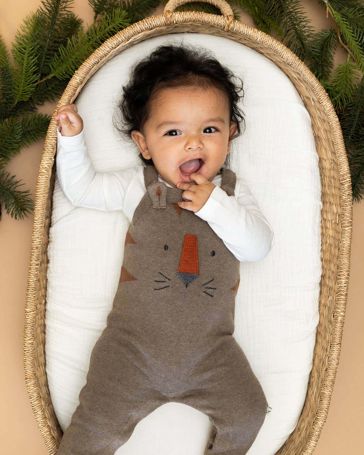Tiger Jacquard Knit Baby Overall Set