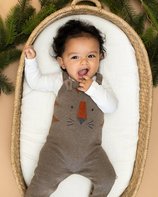 Tiger Jacquard Knit Baby Overall Set