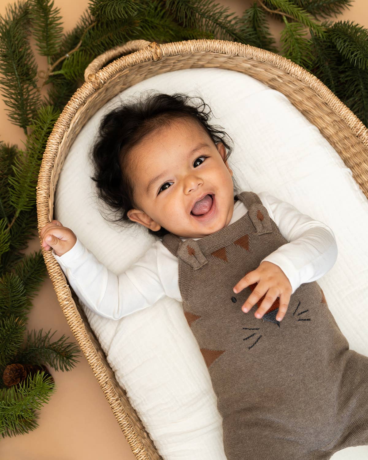Tiger Jacquard Knit Baby Overall Set
