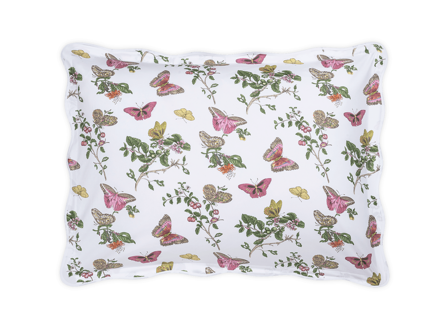 Baudin Butterfly Sham