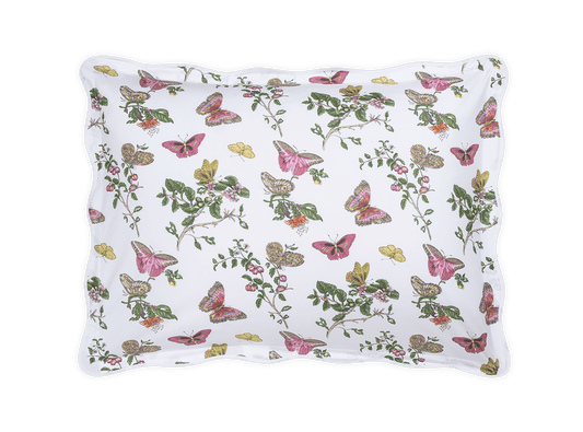 Baudin Butterfly Sham