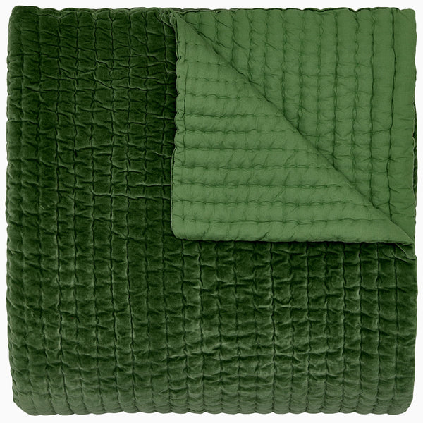 Velvet Coverlet