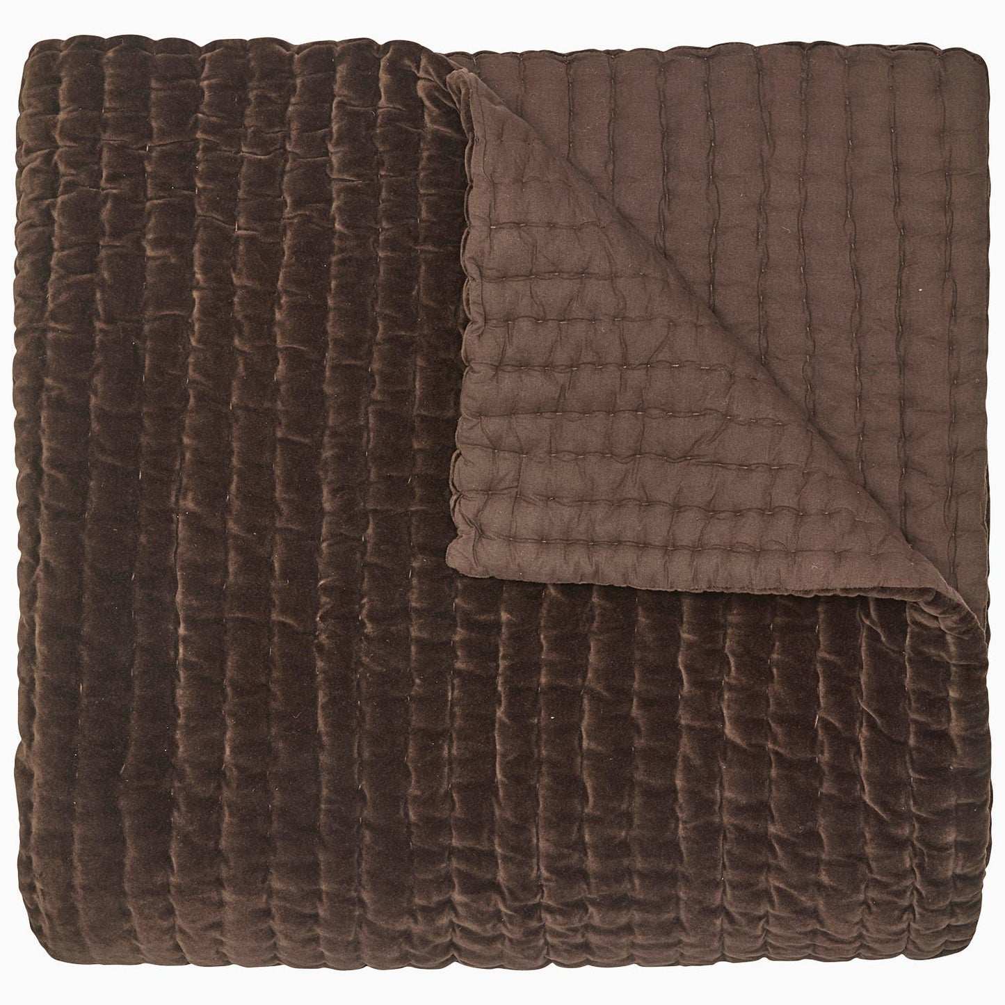 Velvet Coverlet