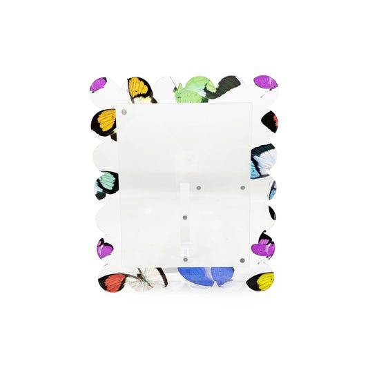 Acrylic Scallop Frame