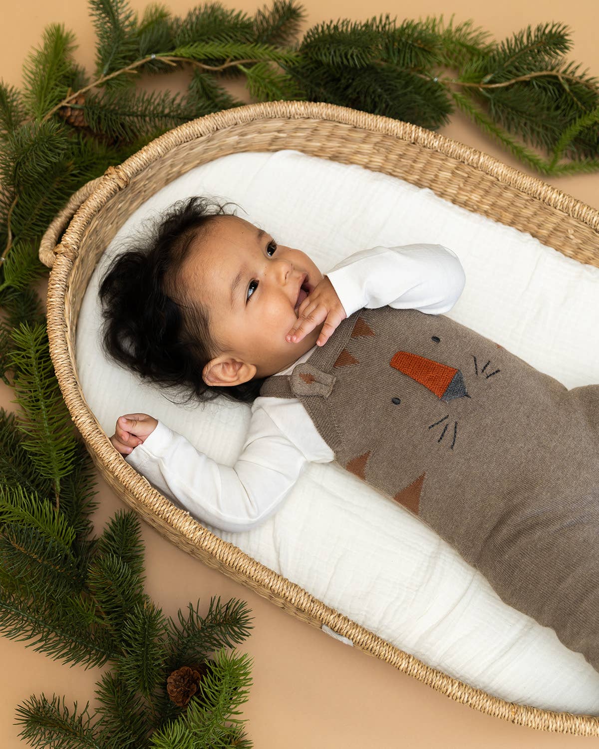 Tiger Jacquard Knit Baby Overall Set
