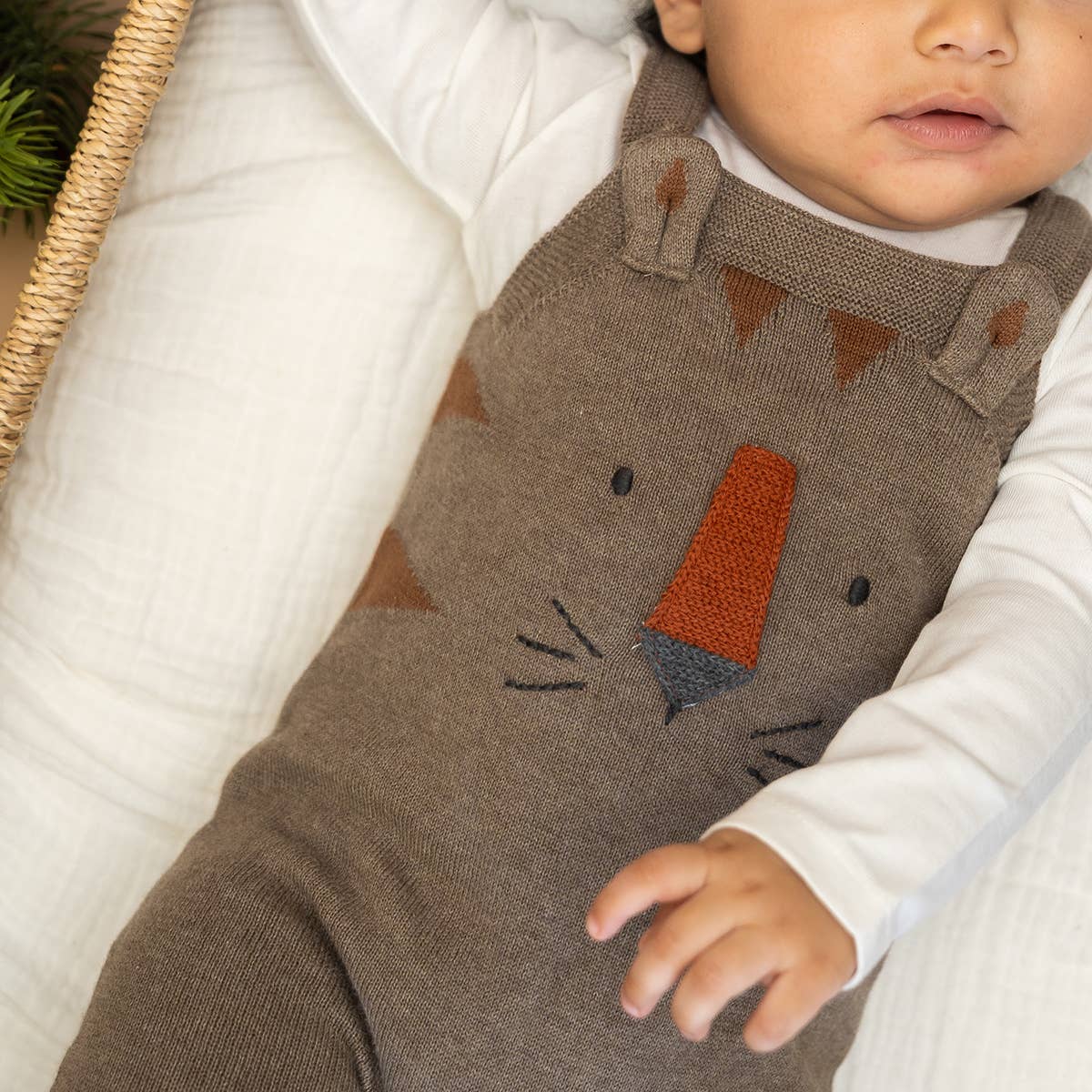 Tiger Jacquard Knit Baby Overall Set