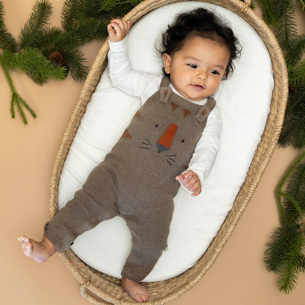 Tiger Jacquard Knit Baby Overall Set