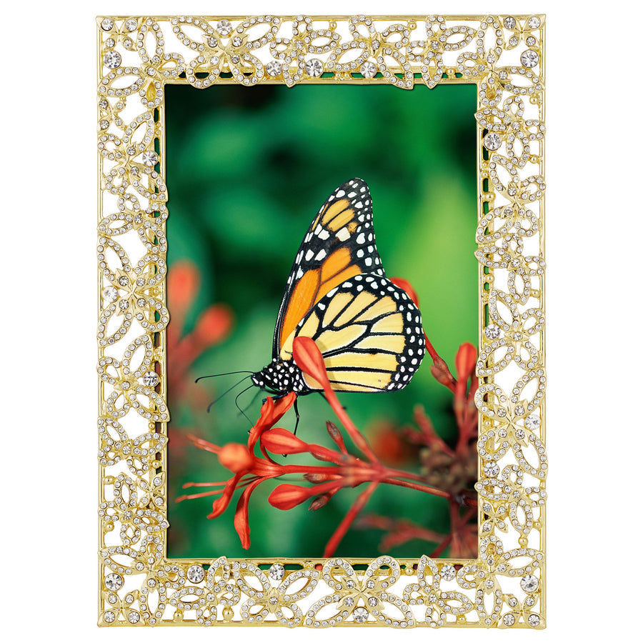 Papillon Crystal Frame